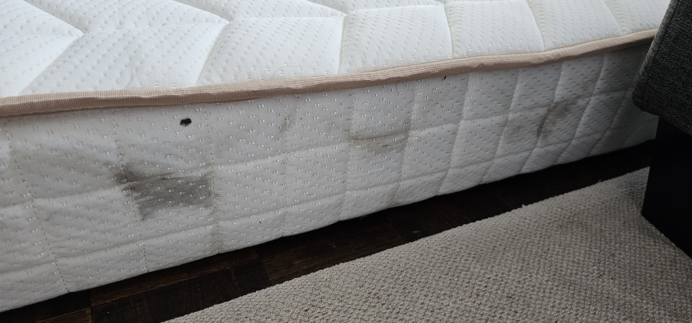 full Size Mattress - photo 4