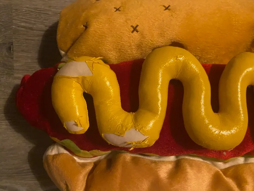 Hot Dog Pet Costume 🎃 image indicator(3)
