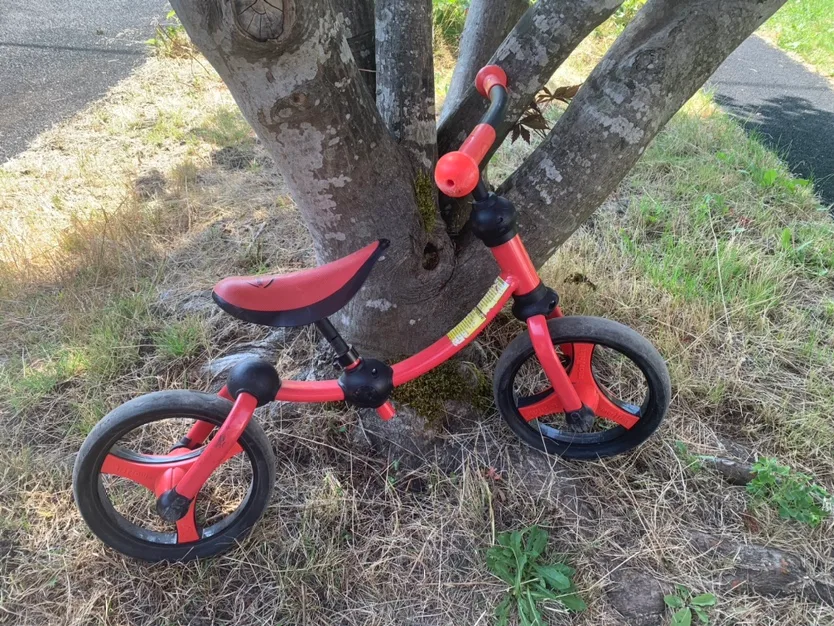 Preschooler/Young Child’s - Red Balance Bike thumbnail