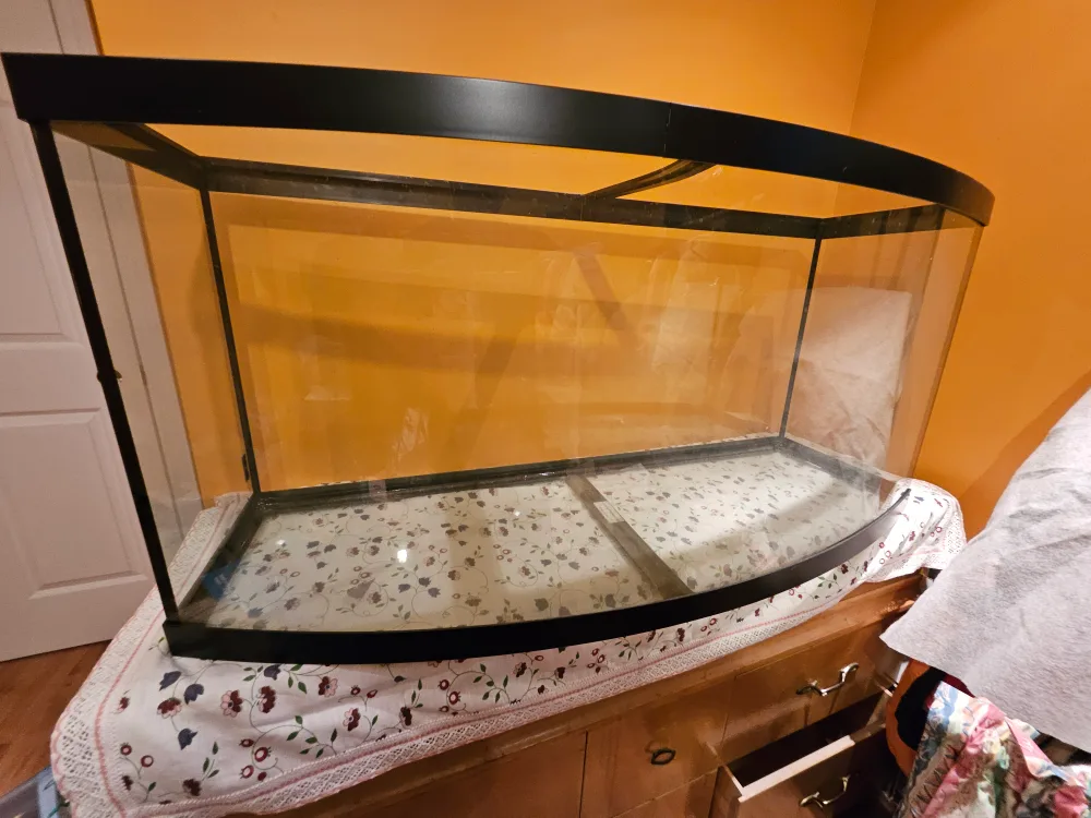 75 Gallon Bowfront Aquarium