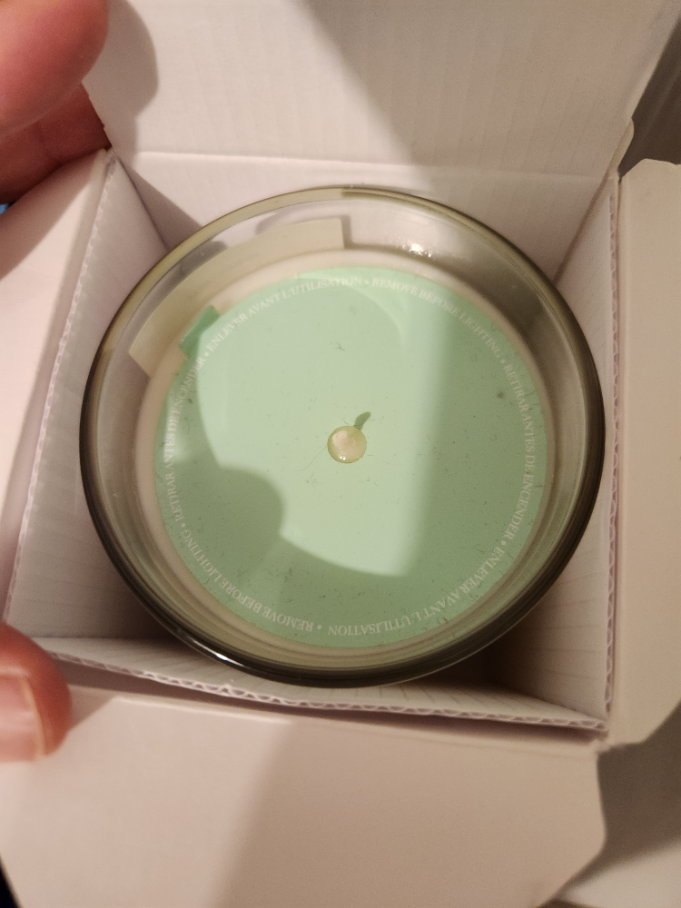 Zara Home Waterlily Tea Dress Candle