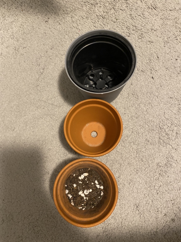 MOVING SALE 🧡 1 plastic pot, 2 Terracotta Pots - photo 2