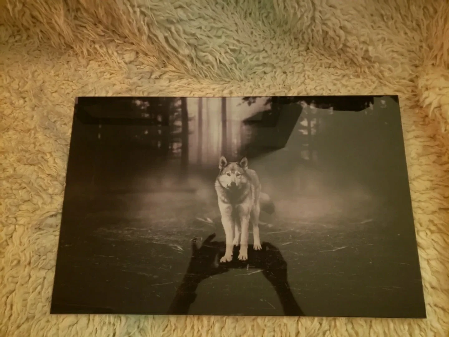 tampered glass wall art image indicator(6)