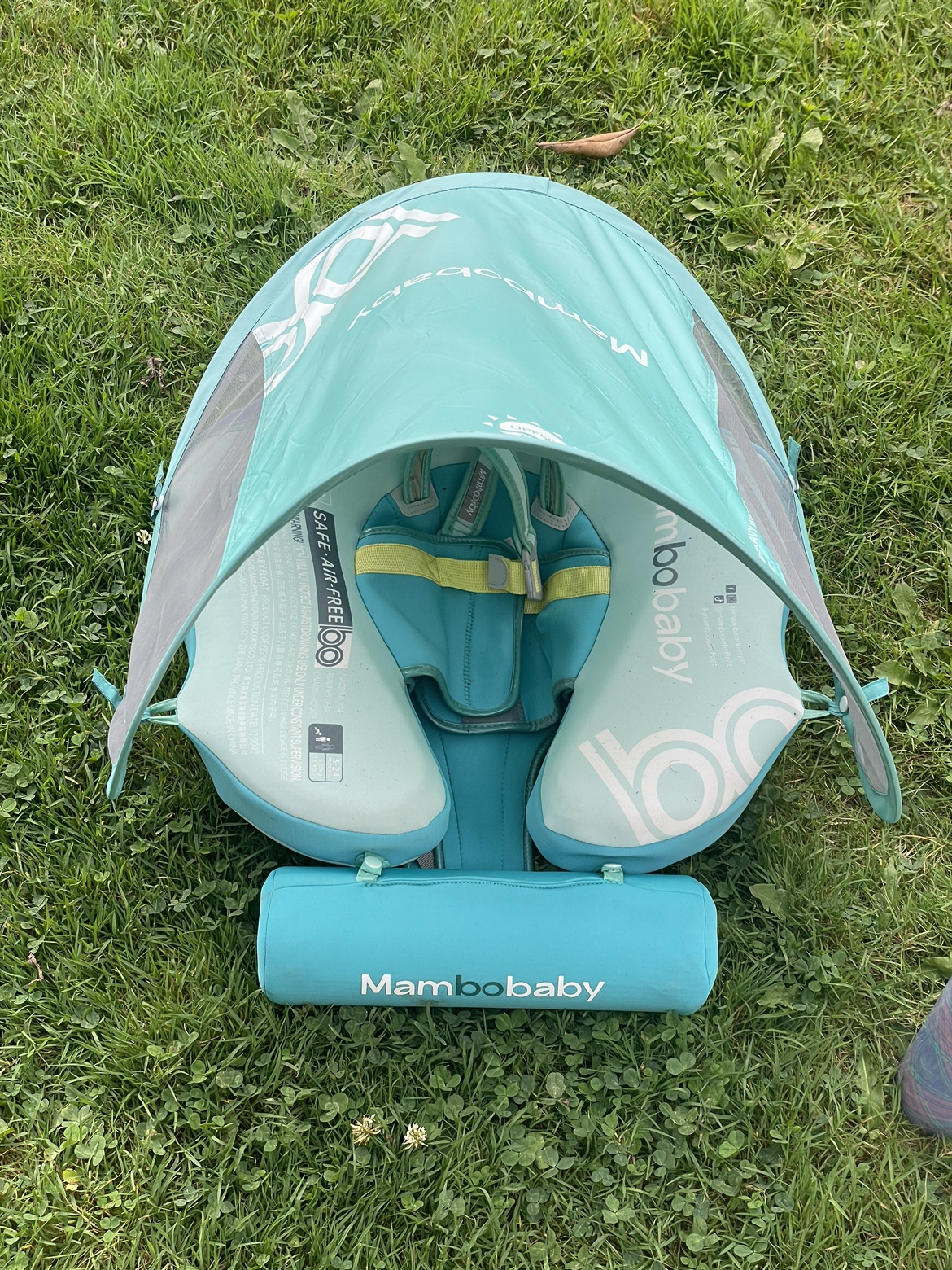 Mambo Baby pool float