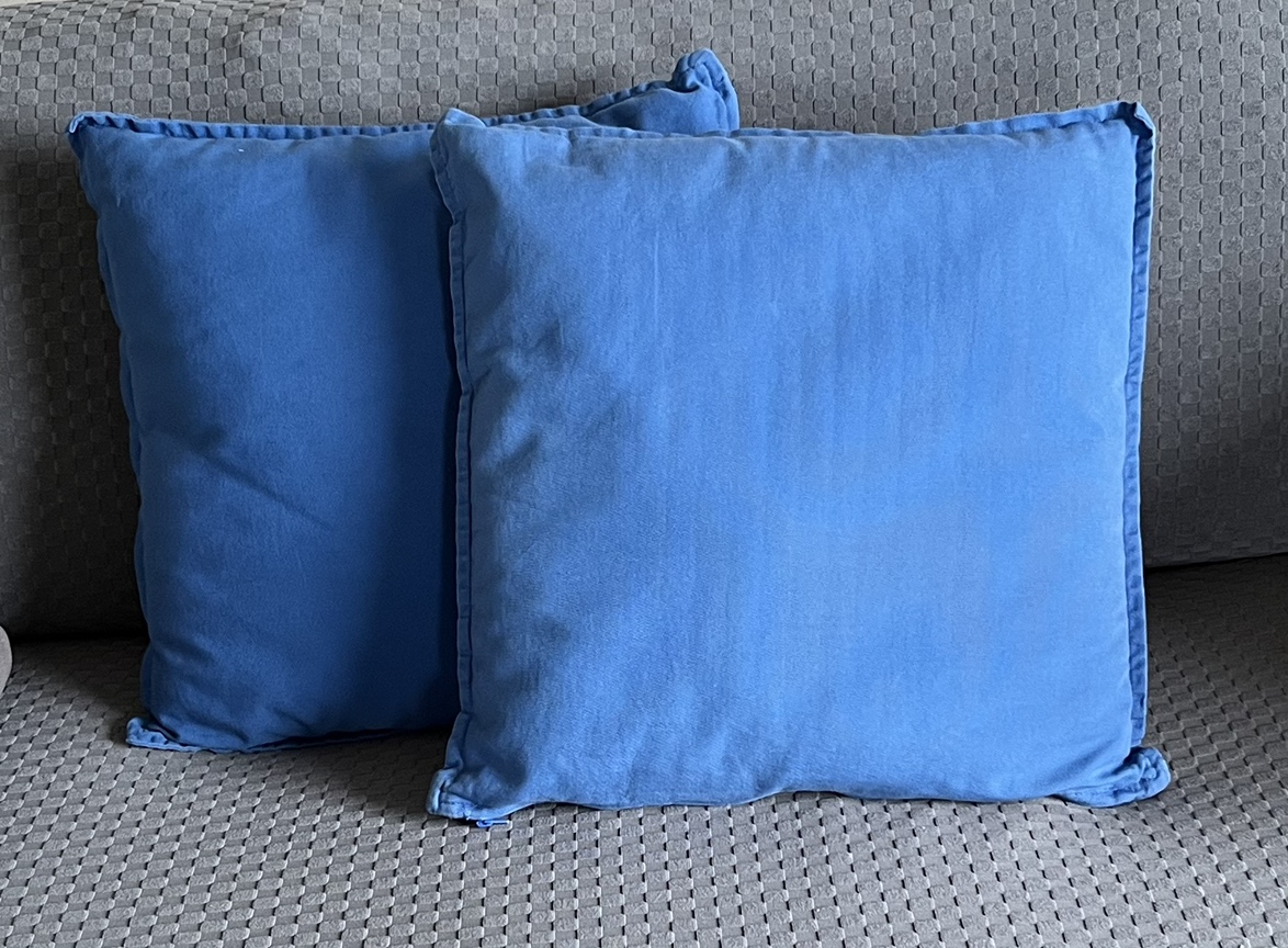 #Freecycle. Two IKEA blue pillows.
