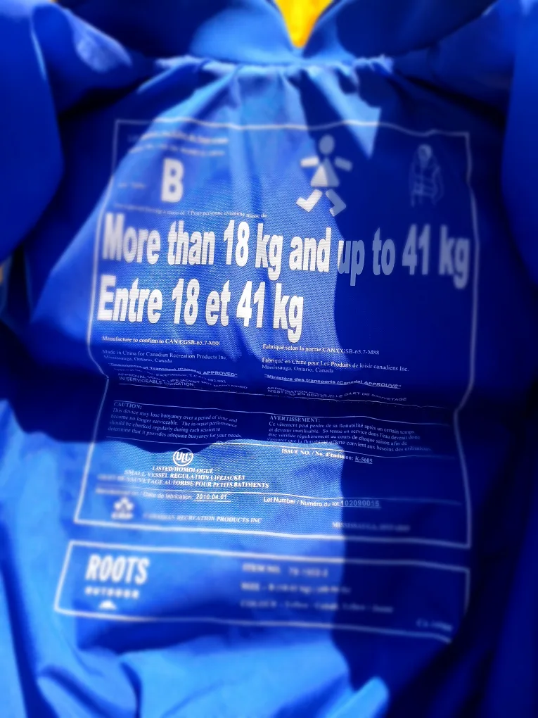 safety vest image indicator(5)