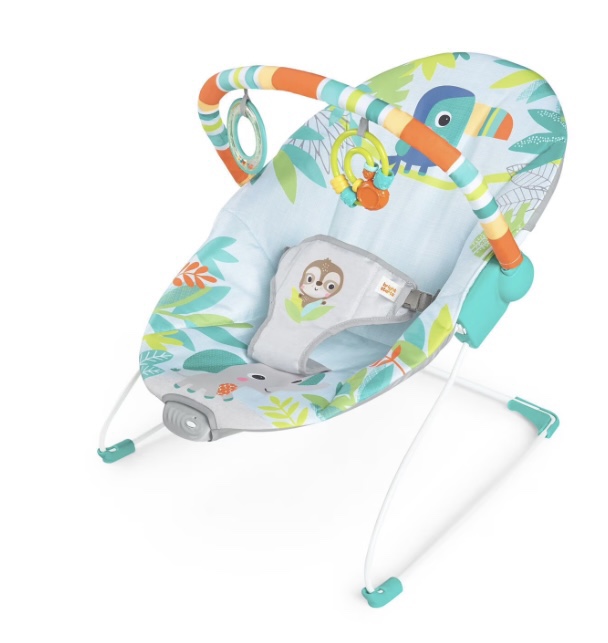 Baby Einstein Bouncer # freecycle