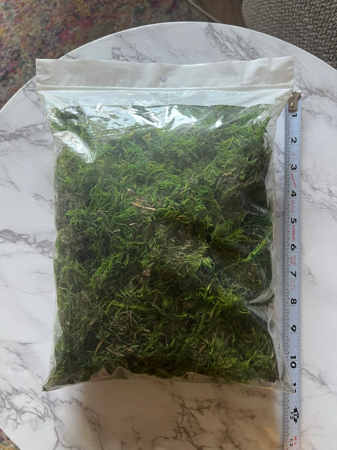 Artificial Dried Moss thumbnail
