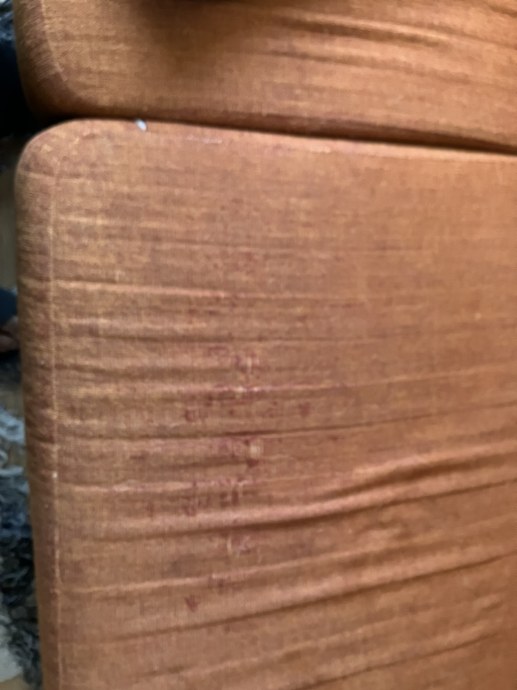 EQ3 Sofa in burnt orange - photo 4
