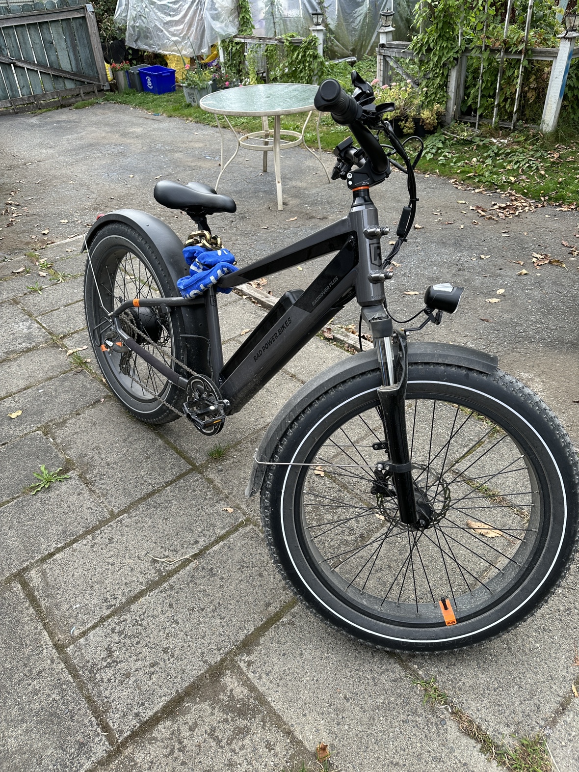 RadRover 6 Plus Electric Bike