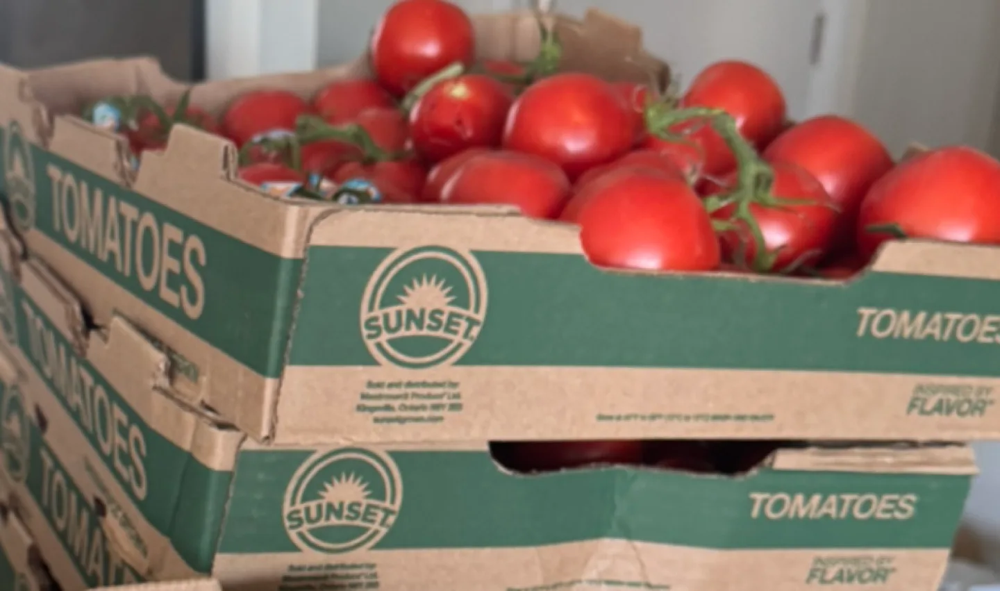 Sunset Tomatoes image indicator(2)