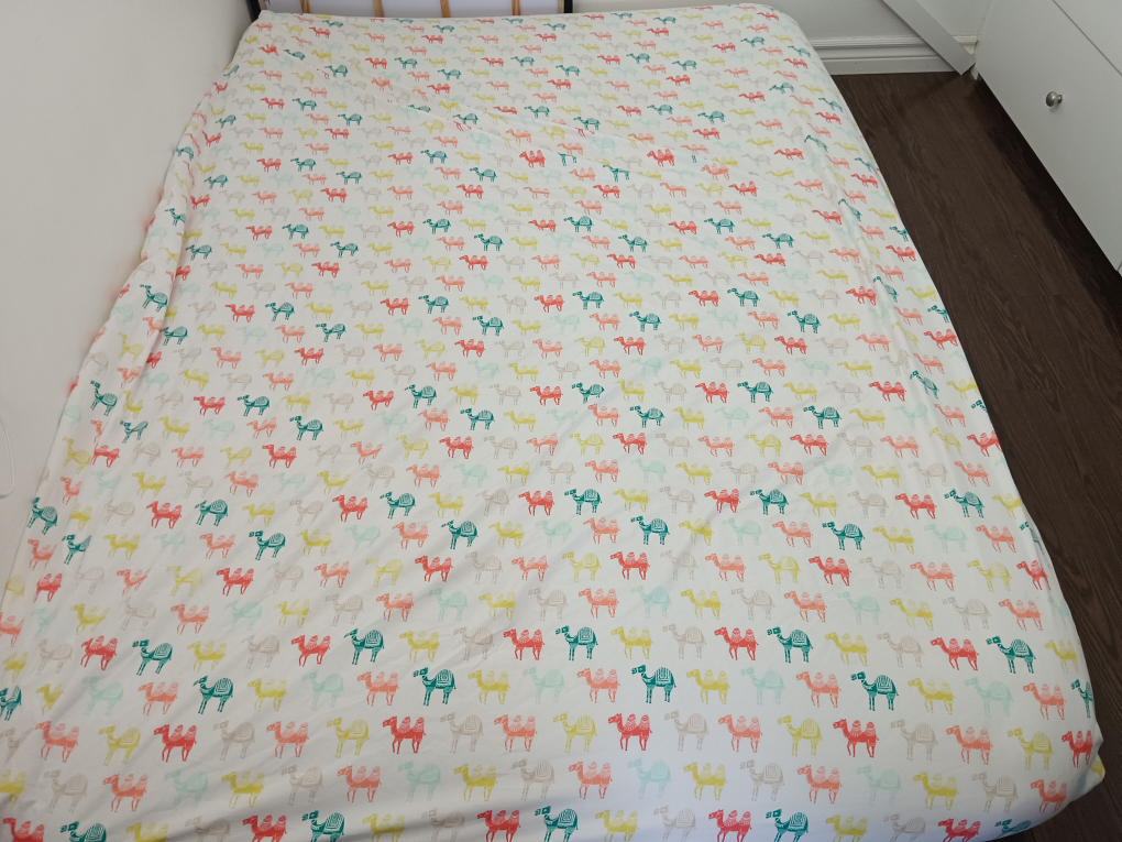 IKEA futon wooden frame along with mattress