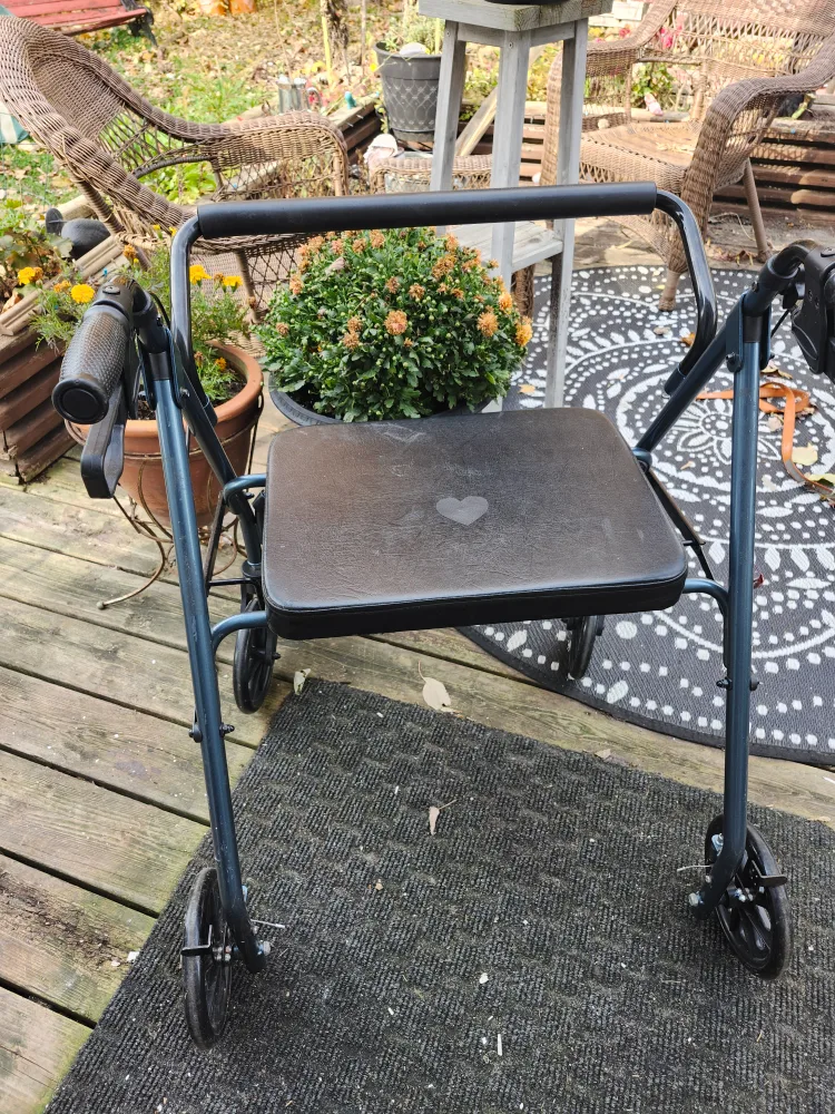 Drive Medical Go-Life Rollator Walker thumbnail