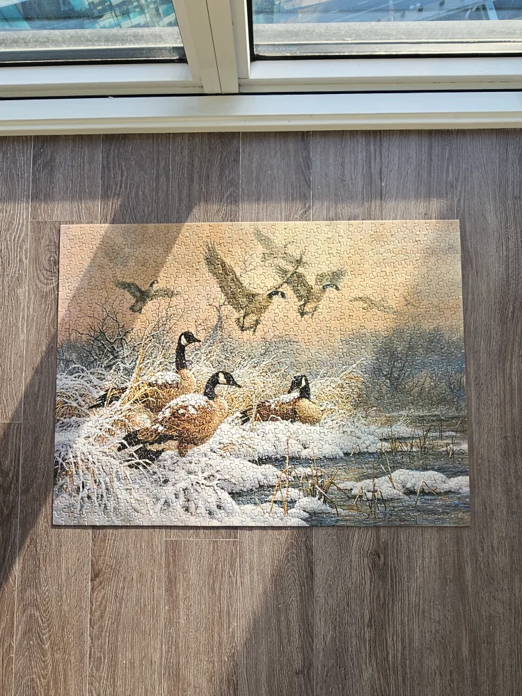 [TRADE] 1000 Piece Puzzle 🦆Canadian Geese thumbnail