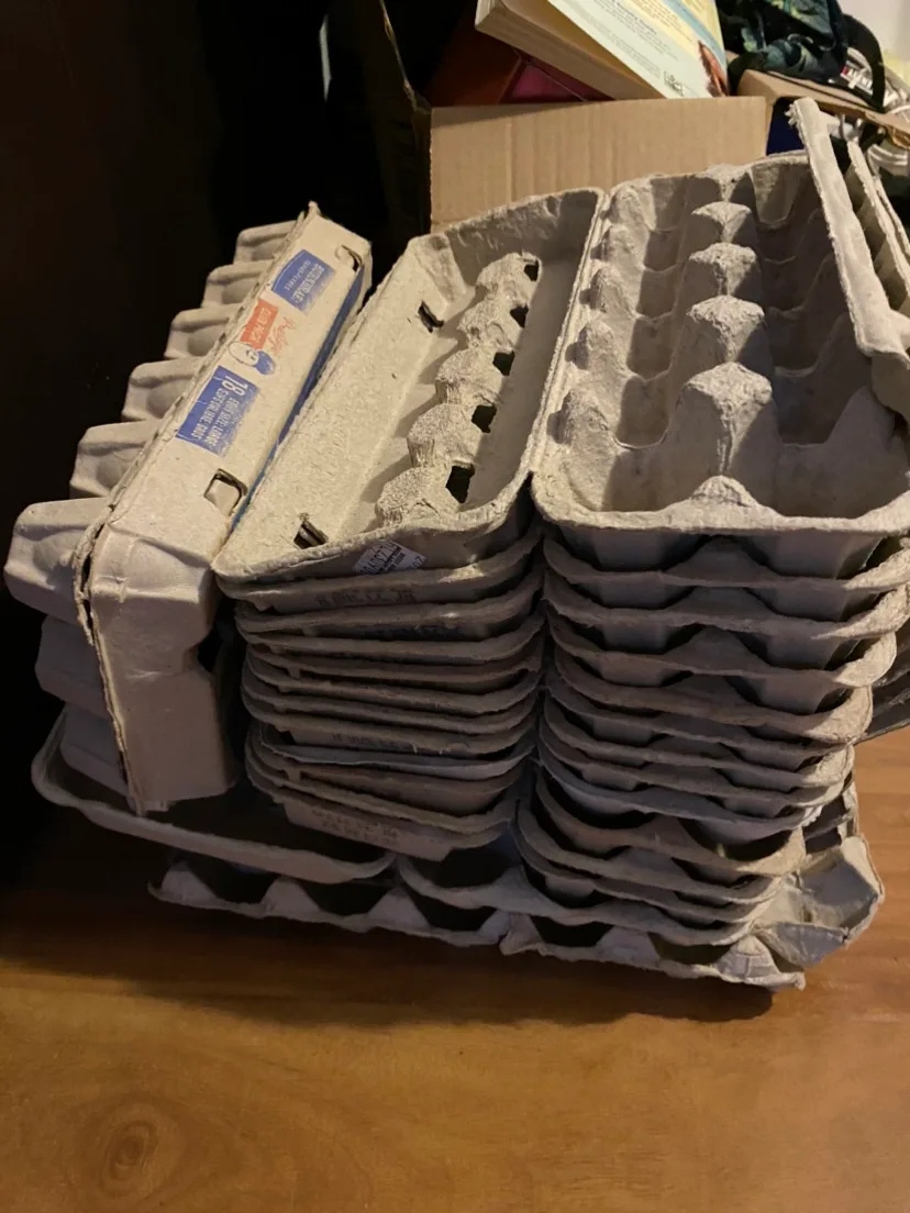 Egg Cartons thumbnail