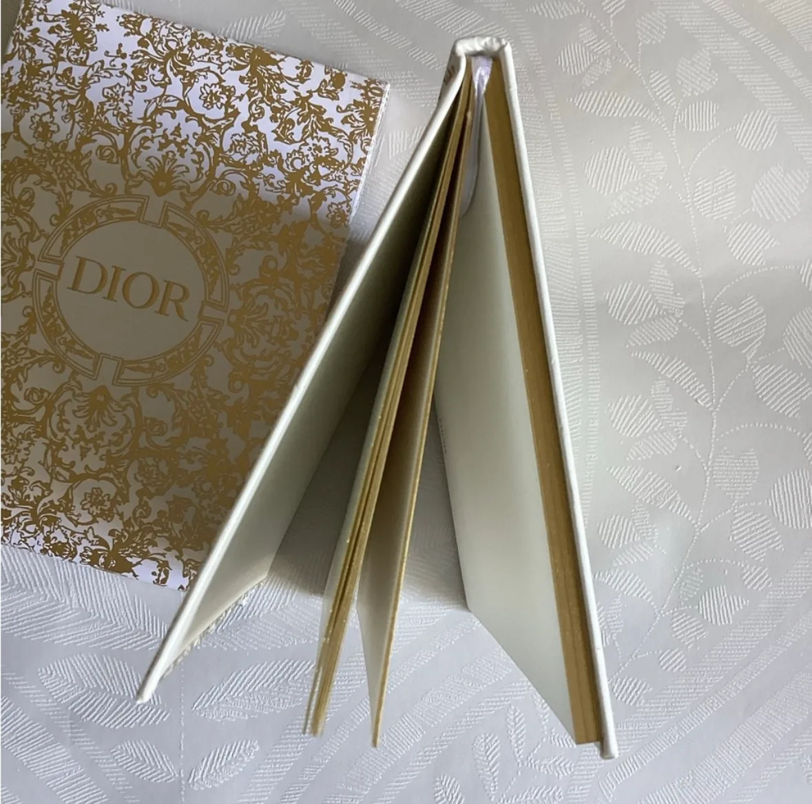 Dior Notebook image indicator(4)