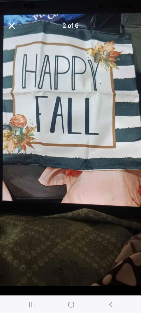 Set of 4 Fall Pillow Covers image indicator(2)