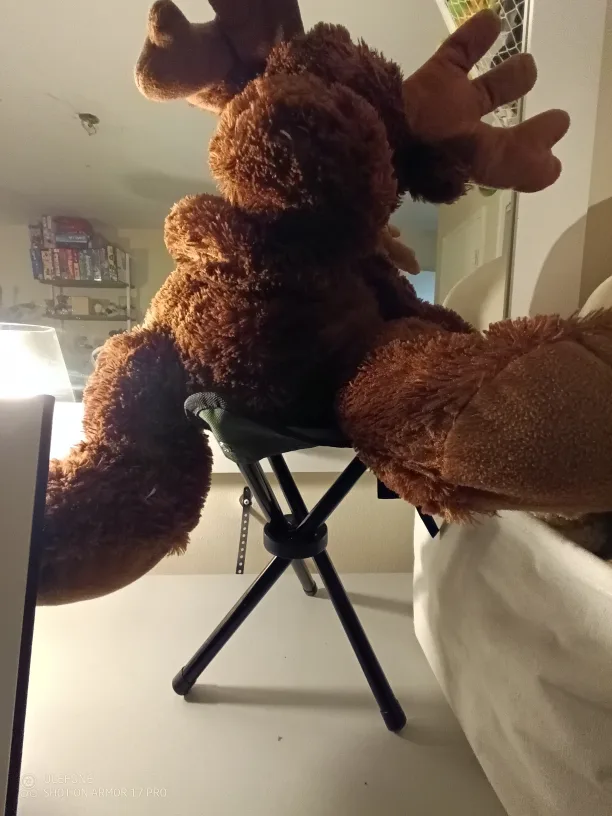 Tiny chair for your child's besties image indicator(2)