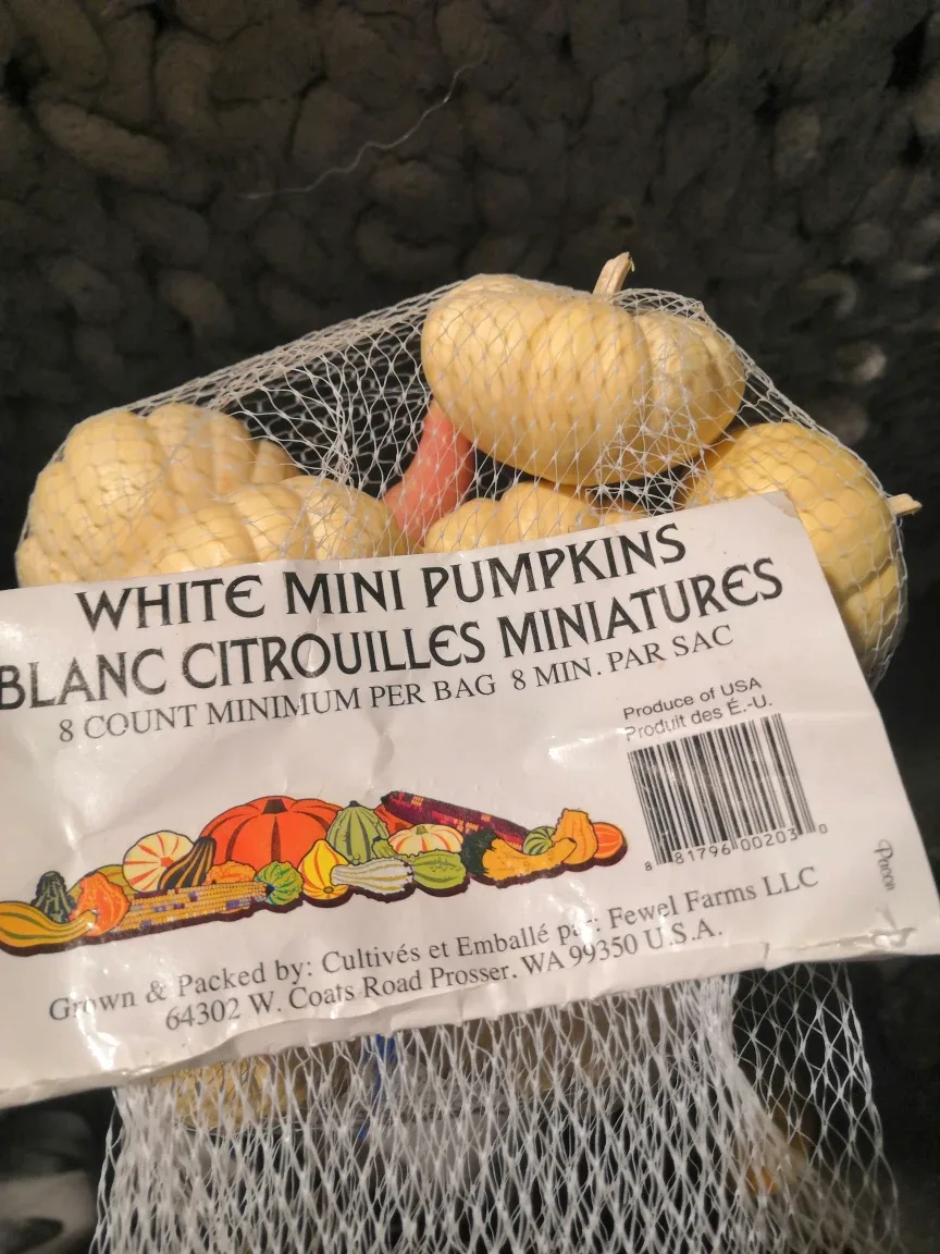 White Mini Pumpkins - 8 Count image indicator(3)
