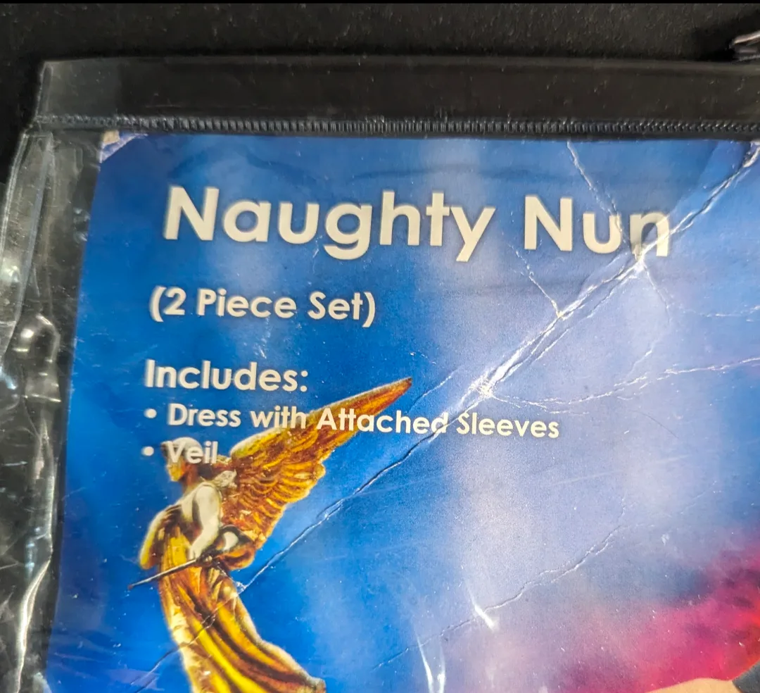 Brand New Nun Halloween Costume image indicator(2)