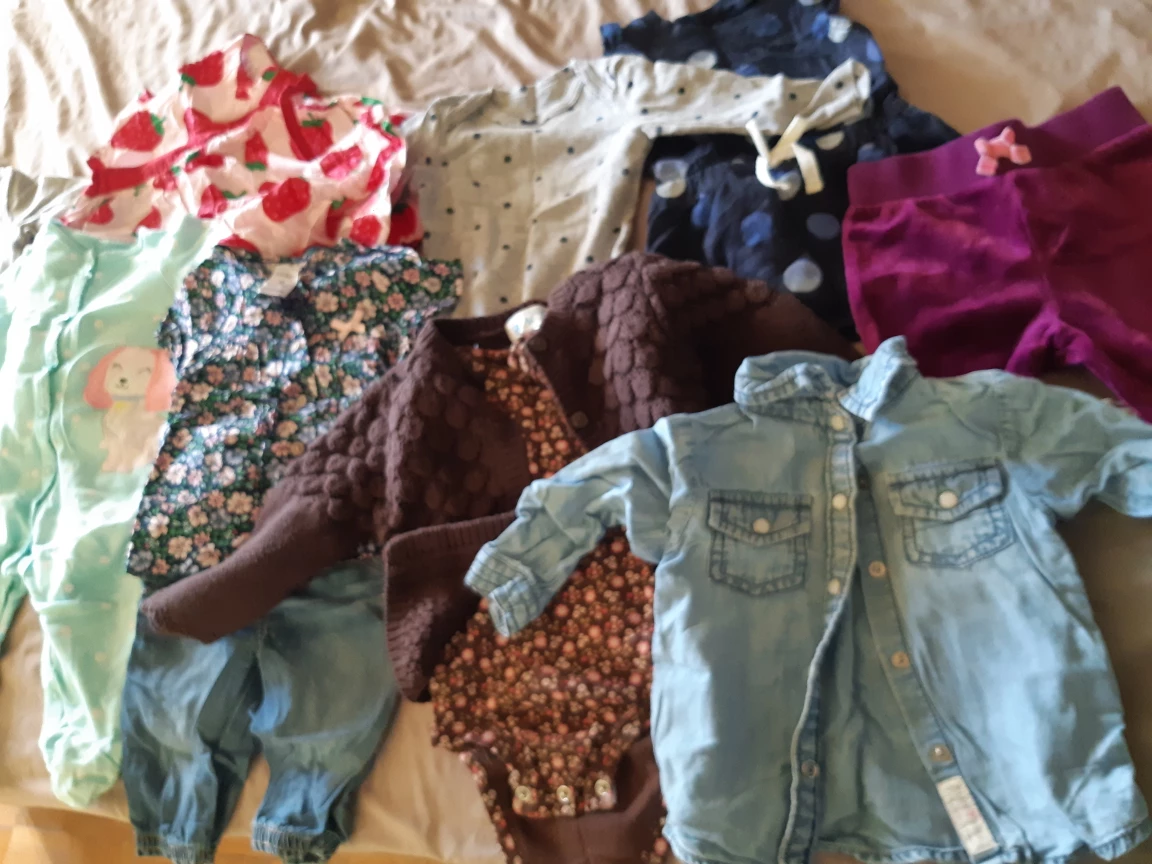 Baby Girl Clothes Bundle - photo 2
