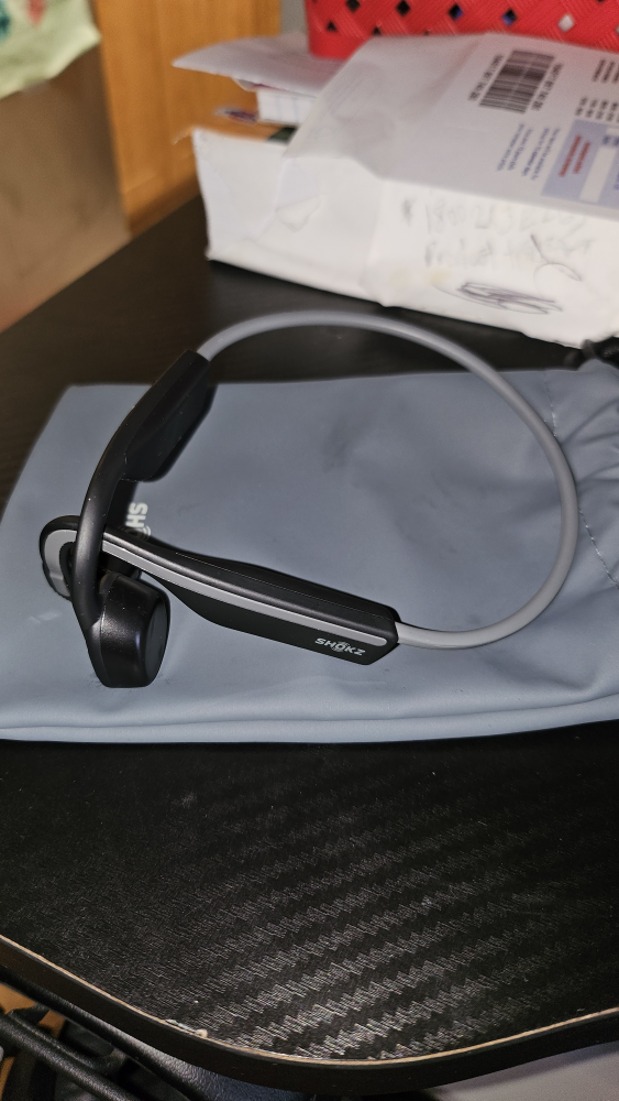 Shokz Open move Wireless Headphones