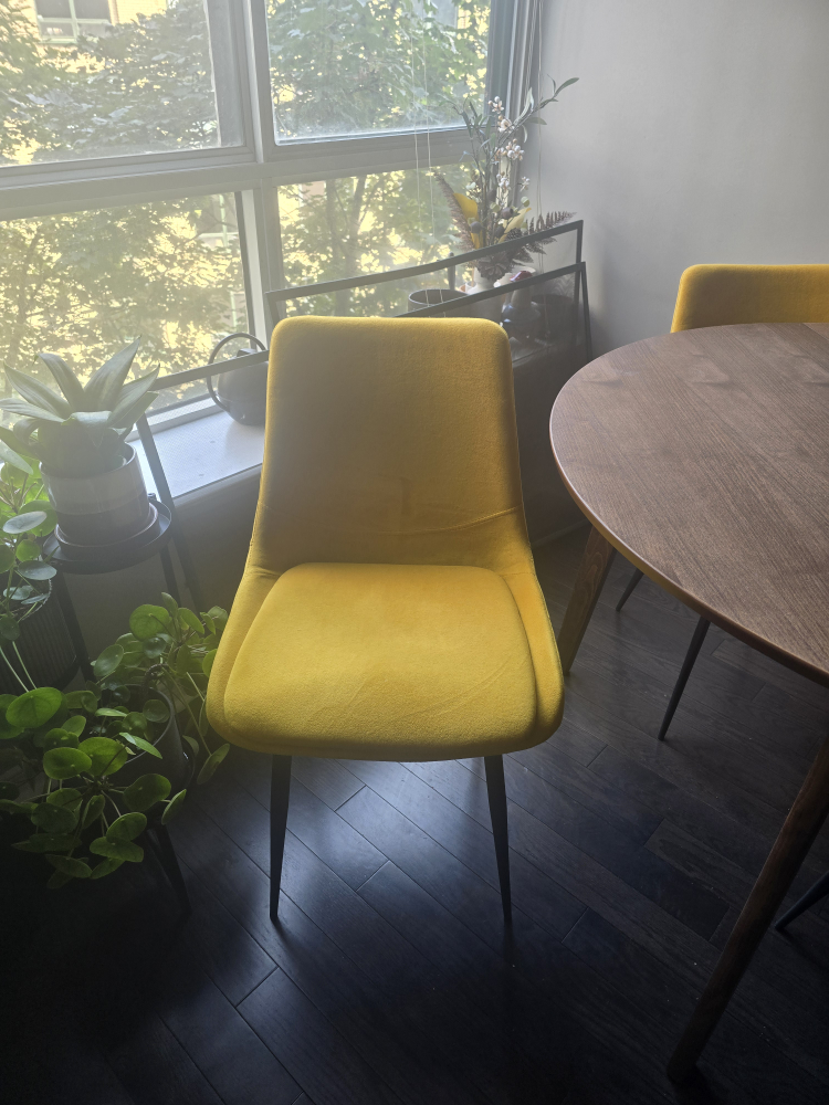 2 x Mustard Yellow Velvet Dining Chairs