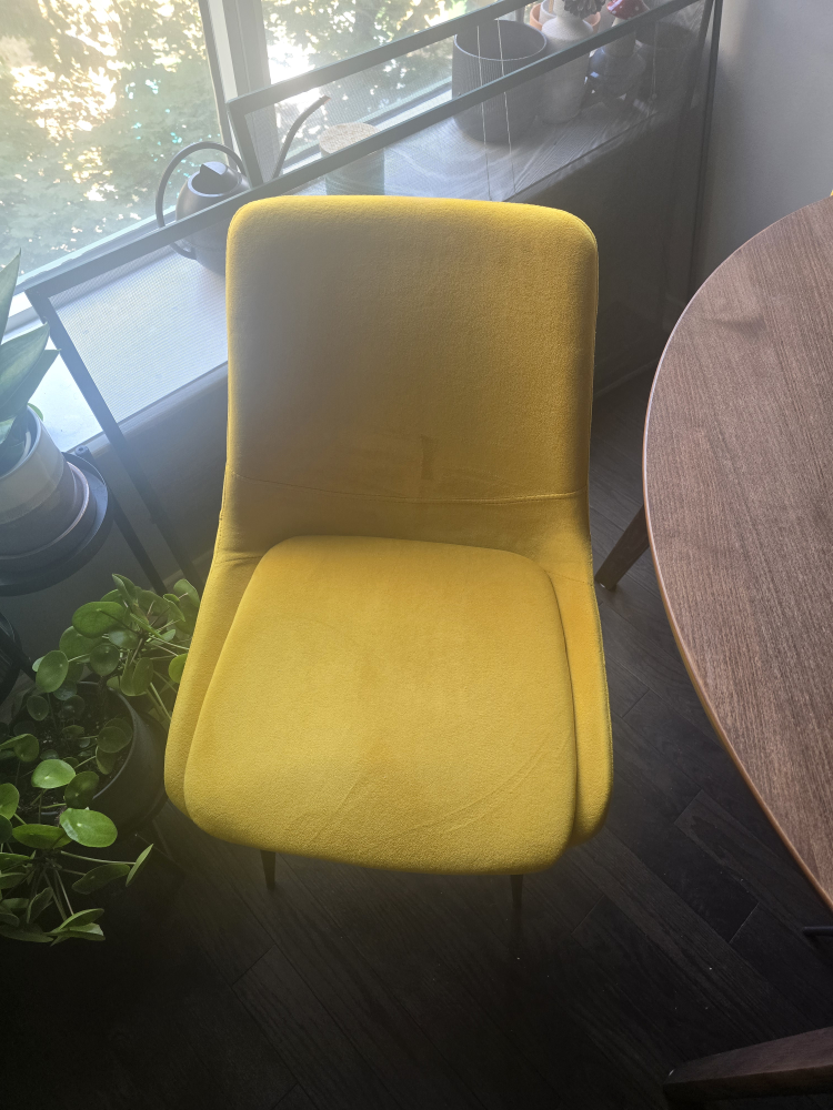 2 x Mustard Yellow Velvet Dining Chairs - photo 2