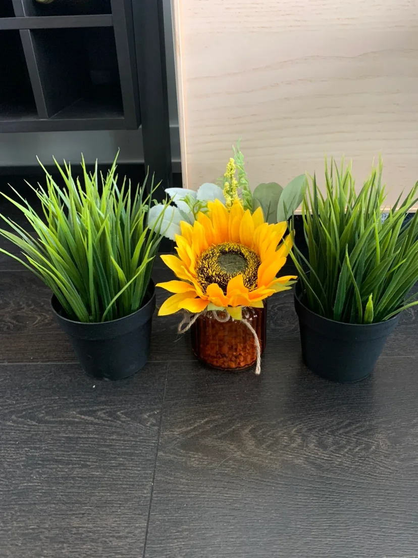 IKEA faux plants and sunflower thumbnail