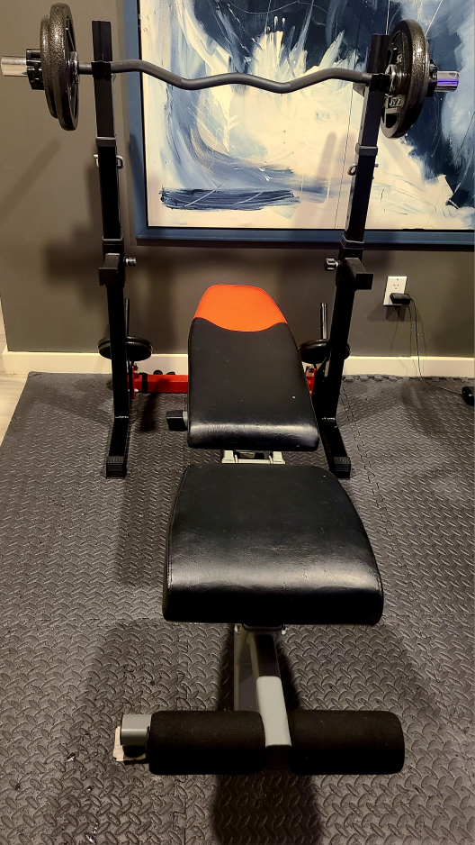 Bowflex Weight Bench, barbell, and weights - photo 2