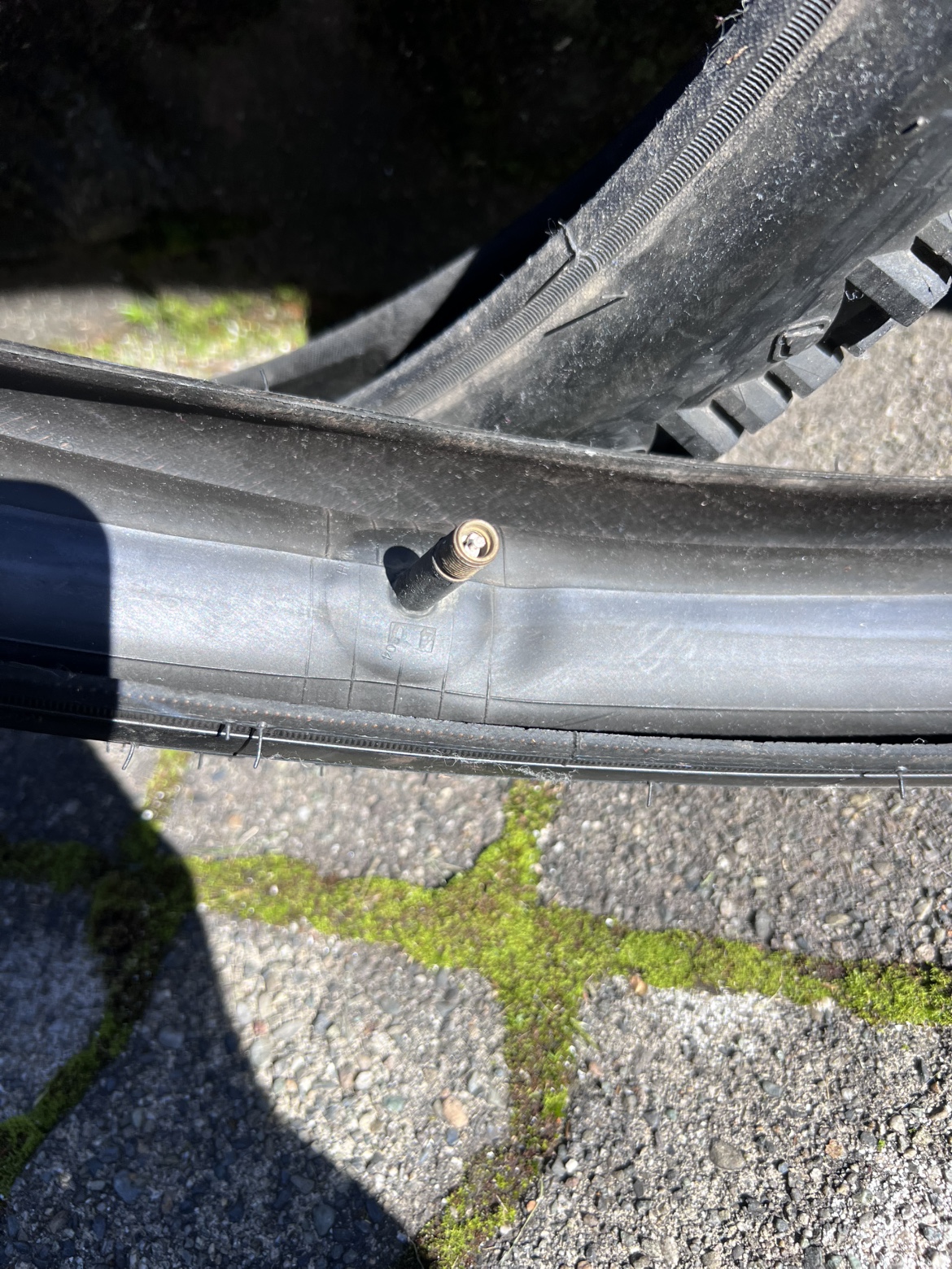 Mountain bike tires - photo 4