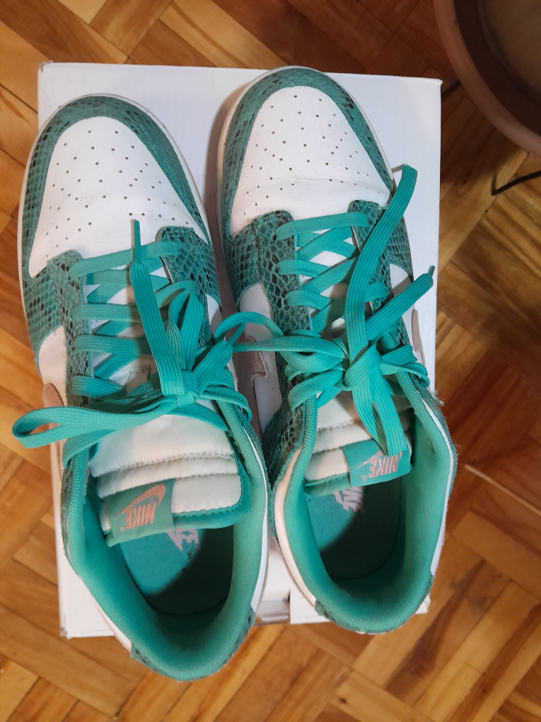 Nike Dunk Low 'Snakeskin' Size 10
