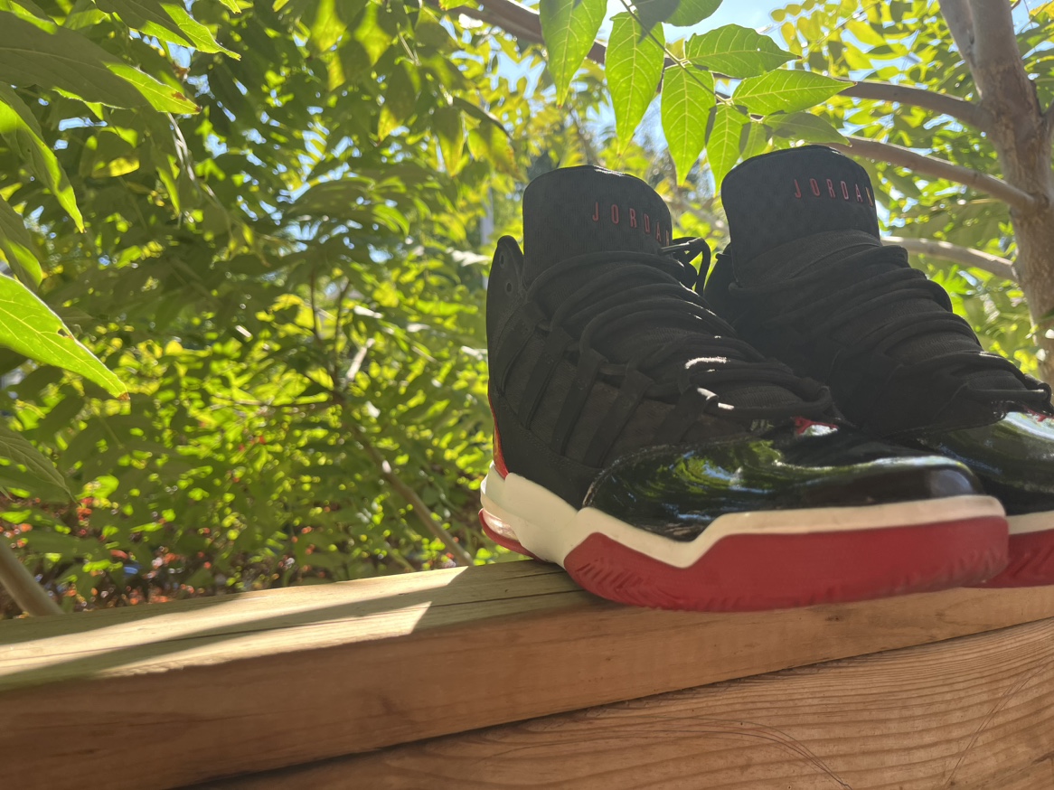 Air Jordan 11 Retro Low - photo 2