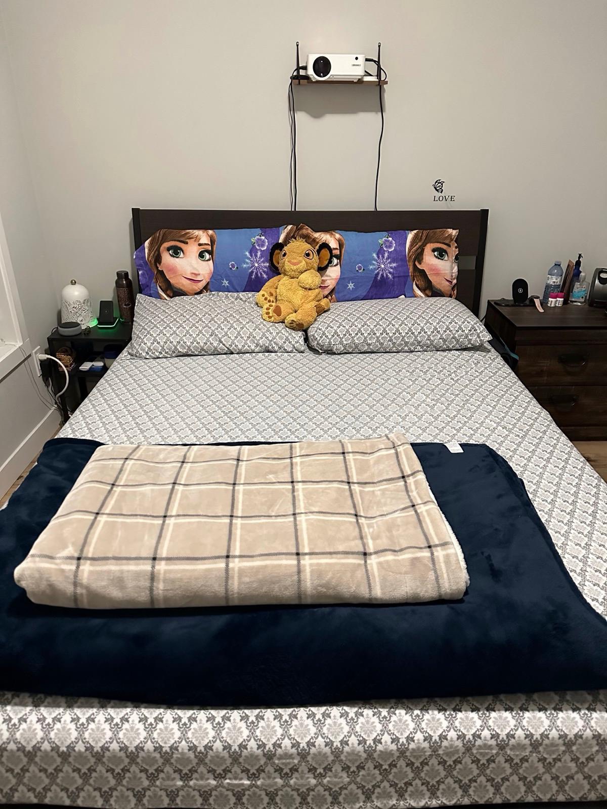 Queen Size Mattress and Bed Frame