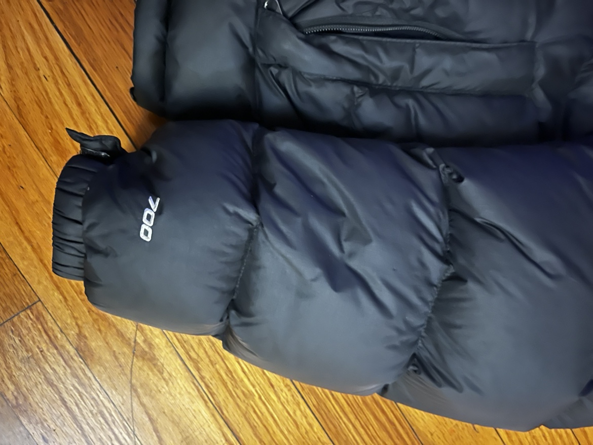 The North Face 700 Fill Down Jacket