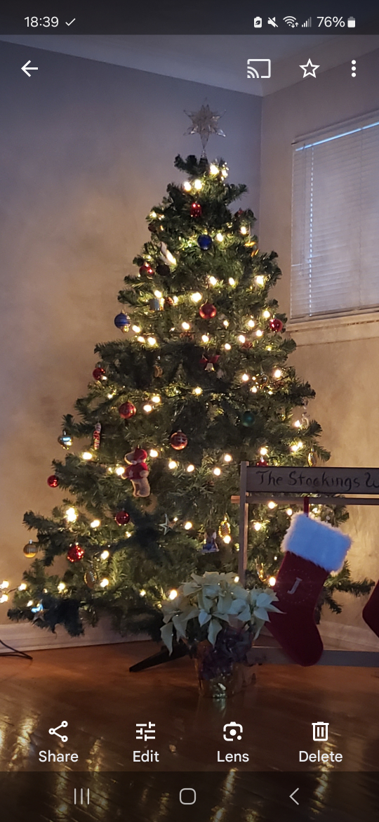 8ft Christmas Tree