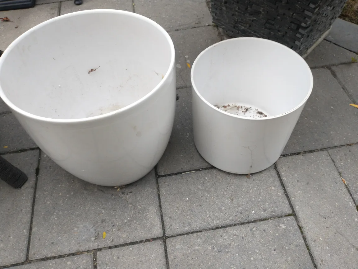 White Planter image indicator(2)