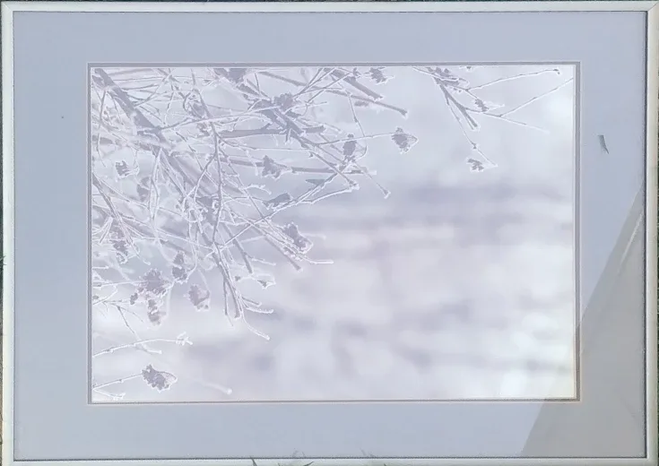 pictures image indicator(8)