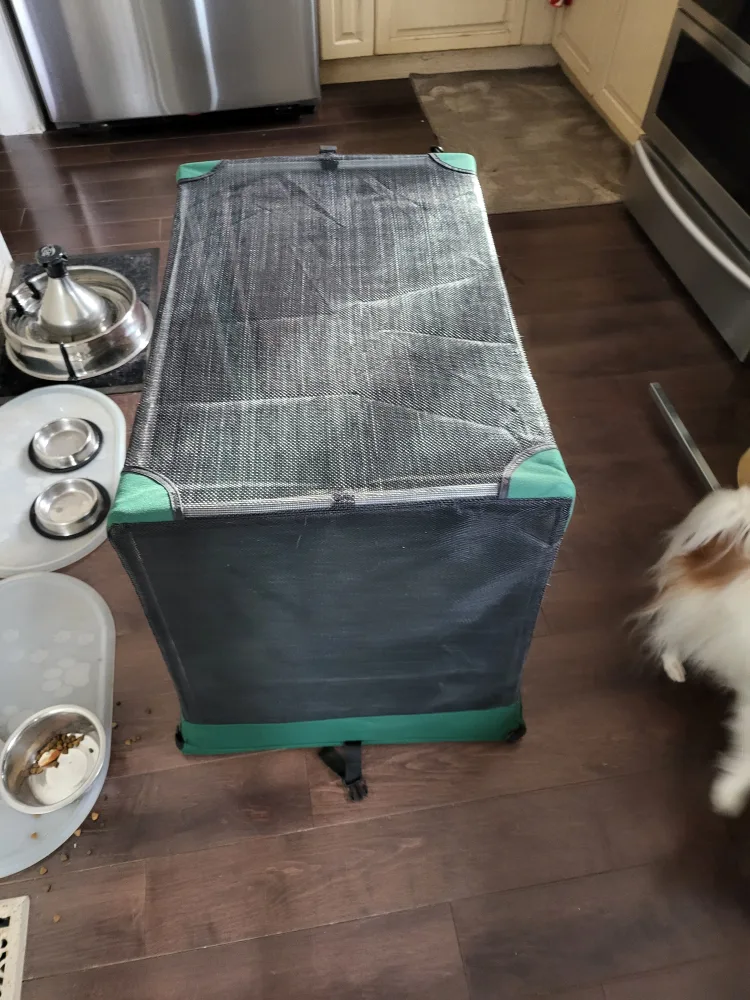 Green Collapsible Dog Crate image indicator(3)