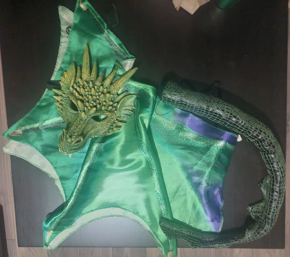 Dragon Costume kit image indicator(2)