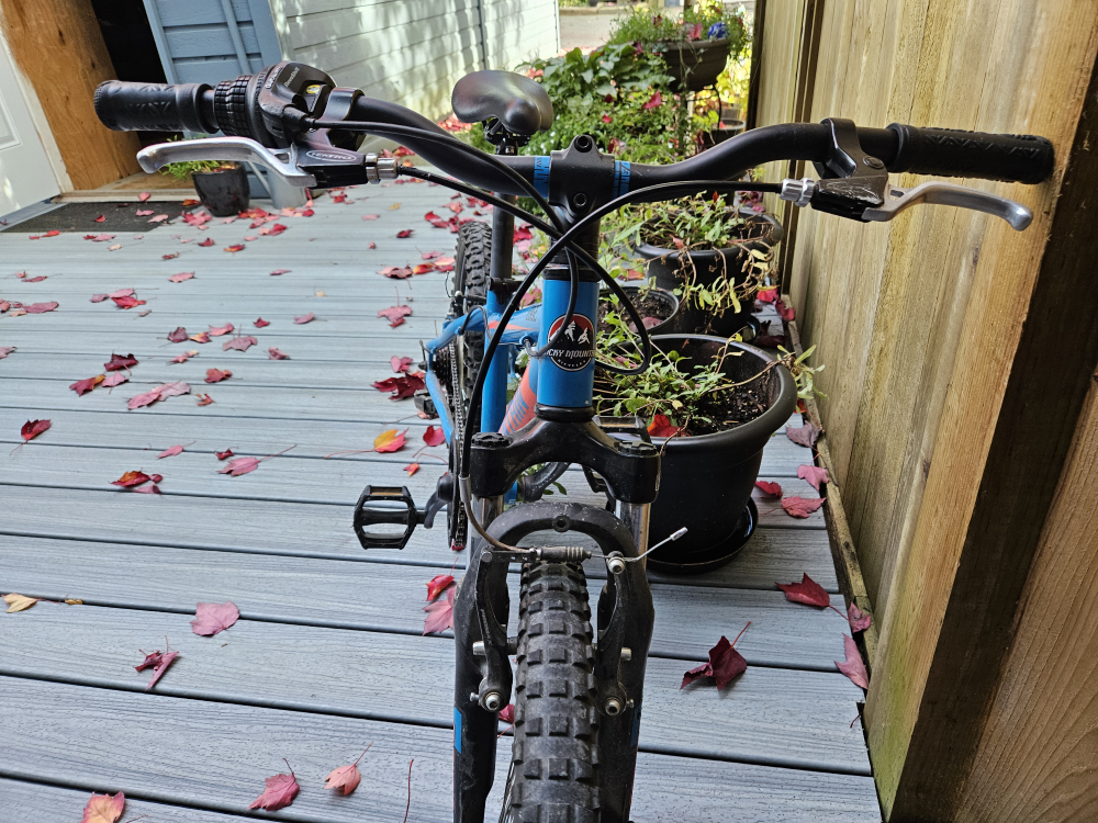 Rocky Mountain Edge 20" Bike - photo 2