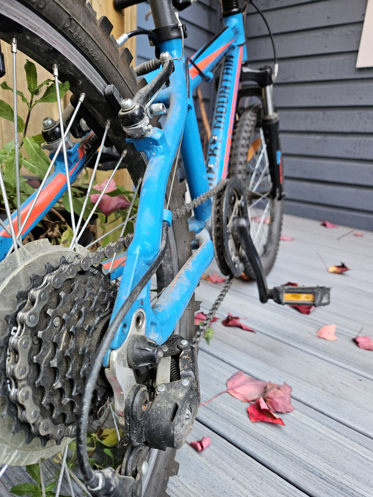 Rocky Mountain Edge 20" Bike - photo 4