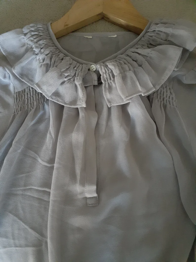 Mauve Color Blouse with Ruffled Collar image indicator(3)