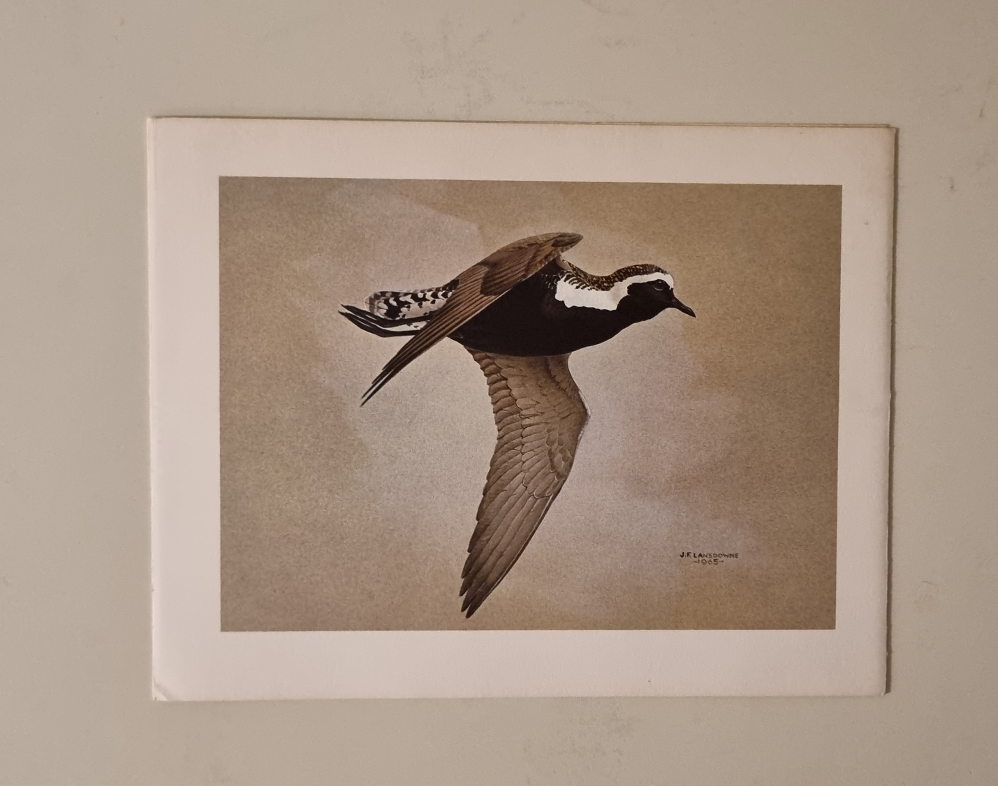 Set of 4 Christmas Cards Vintage Bird Prints - photo 3