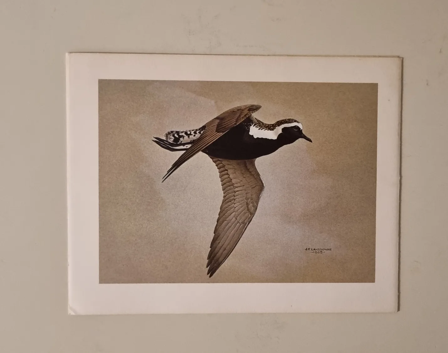 Set of 4 Christmas Cards Vintage Bird Prints image indicator(3)