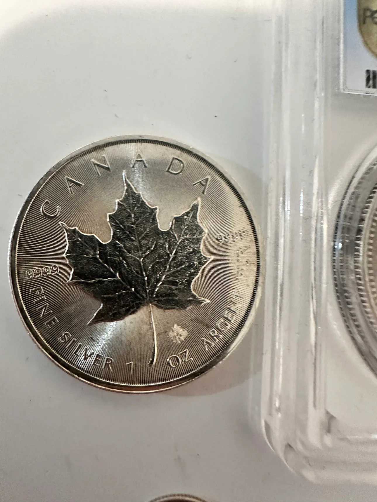 1 oz Silver Canadian Maple Leaf Coin & other silver coins image indicator(2)