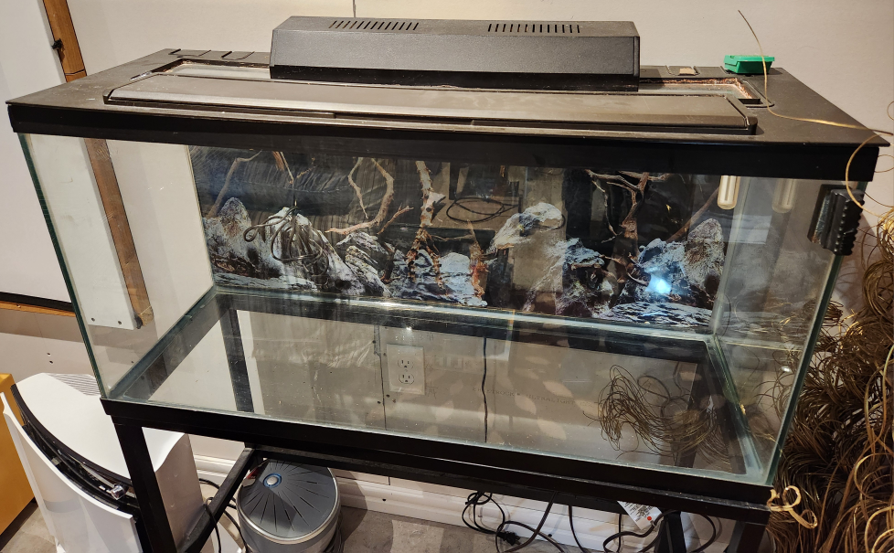 40 Gallon (36in X 18in X 12in)  Aquarium with Stand - photo 2