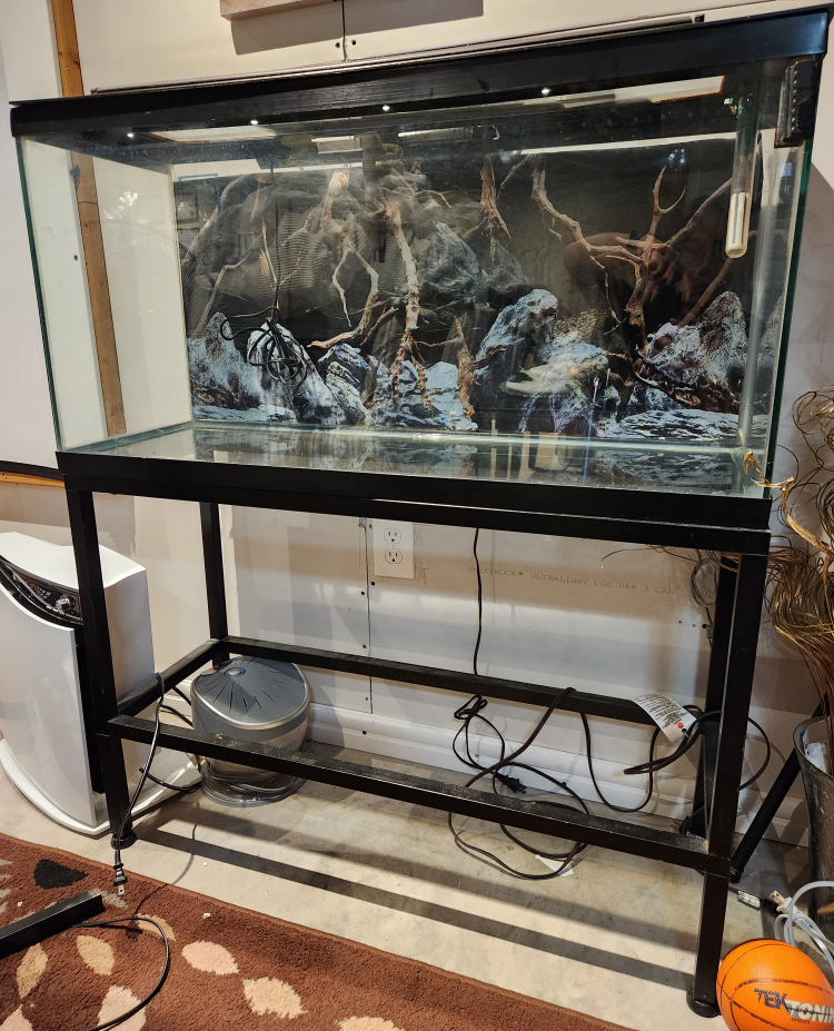 40 Gallon (36in X 18in X 12in)  Aquarium with Stand