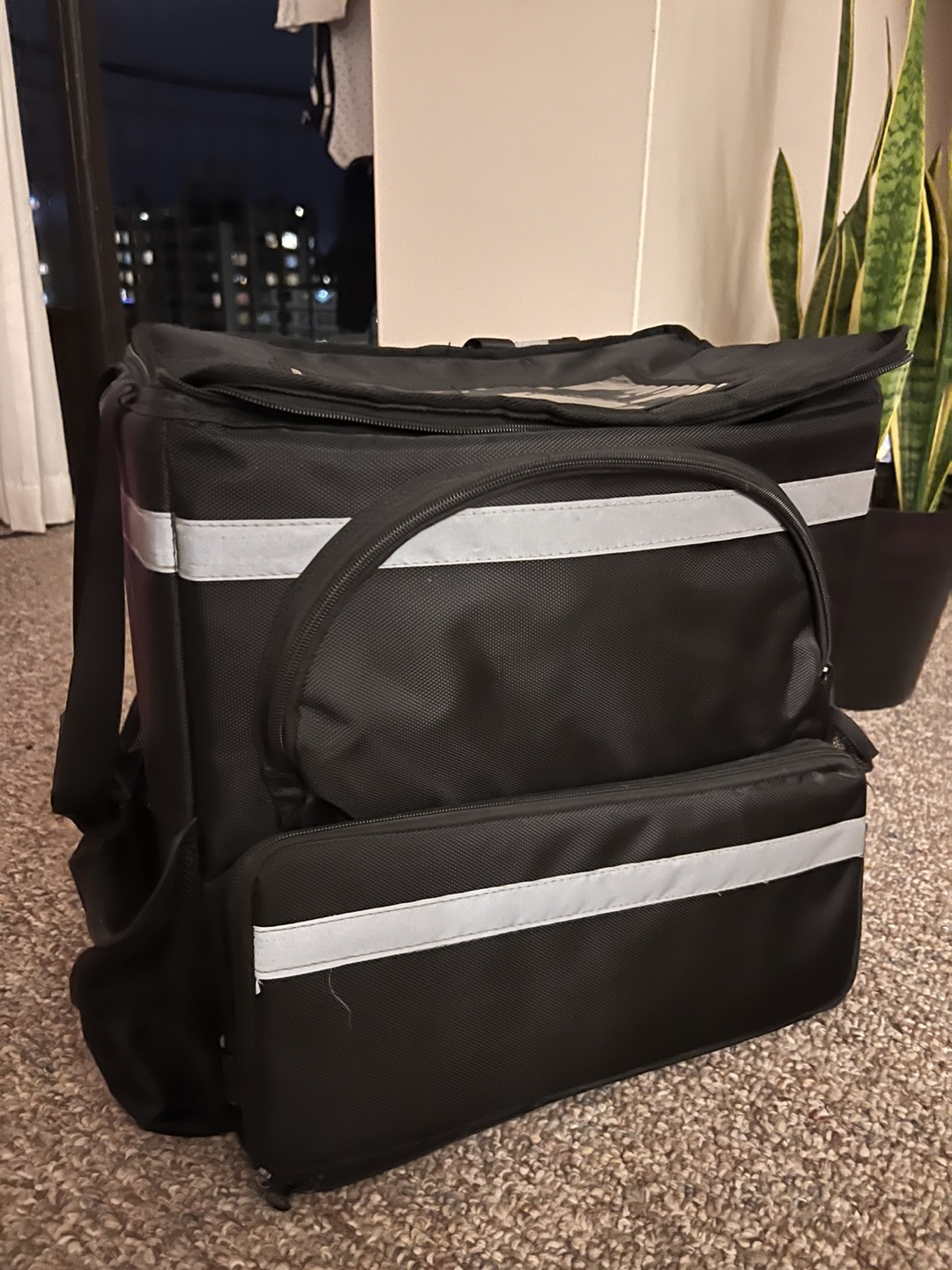 Delivery Bag