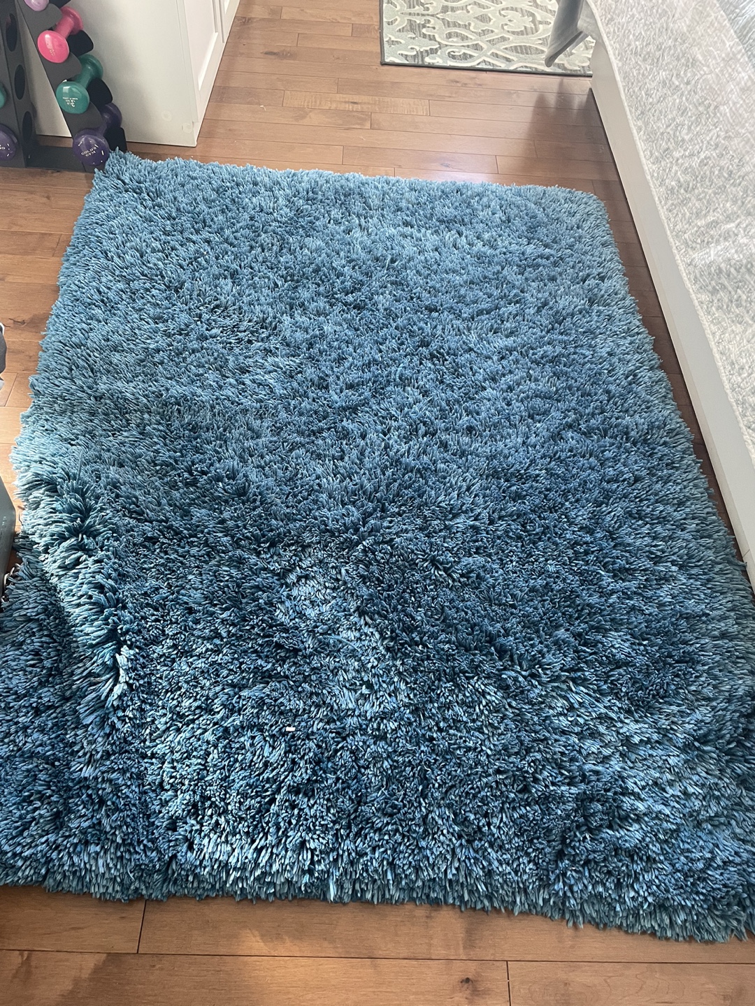 Blue Shag Rug